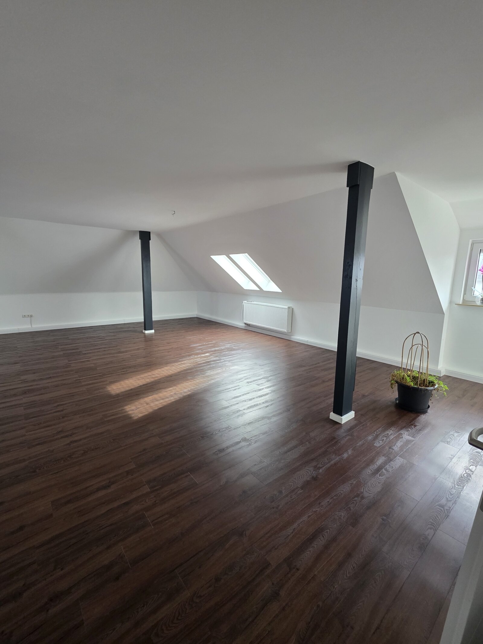 Hochwertig saniertes Einfamilienhaus mit Einliegerwohnung und exklusiver Ausstattung